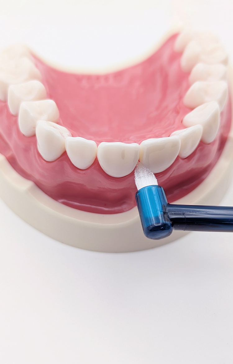 NOILA(ノイラ のいら) I トゥースブラシ